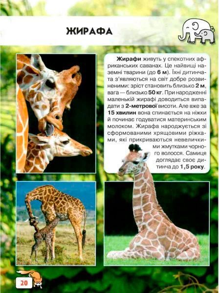 Книга «Світ навколо нас. Малята тварин» 978-966-9369-49-9