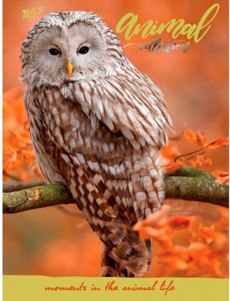 Книга для записей 140*185/96 интеграл YES