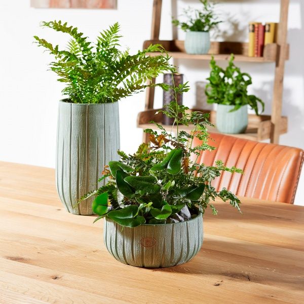 Кашпо керамическое Soendgen Ronda круглый серый (4006063304594) 