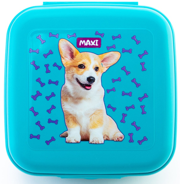 Ланч-бокс Maxi MX98125 850 мл бірюзовий