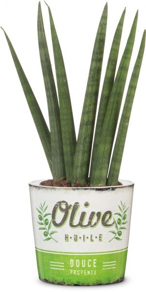 Кашпо керамічне Scheurich Retro Douce Provence круглий 1,12л молочний 