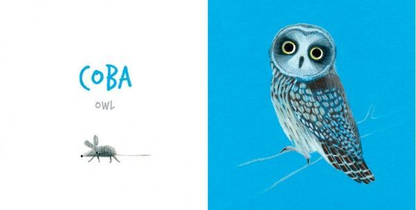 Книга «Книга. Птах» 9786177395262