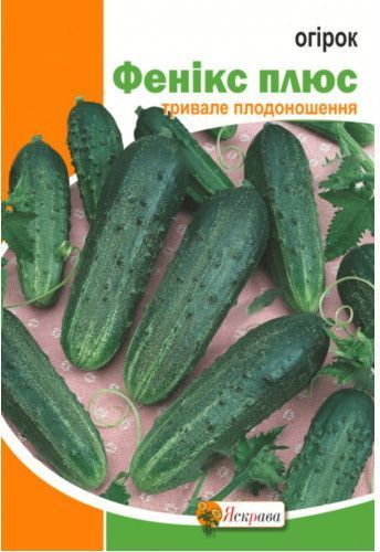 Насіння Яскрава огірок Фенікс плюс 5г