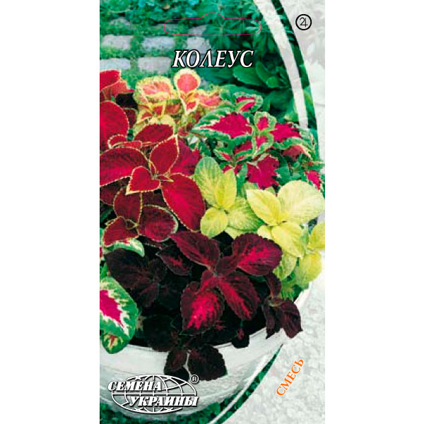 Семена Украины цветы Колеус 0.1 г