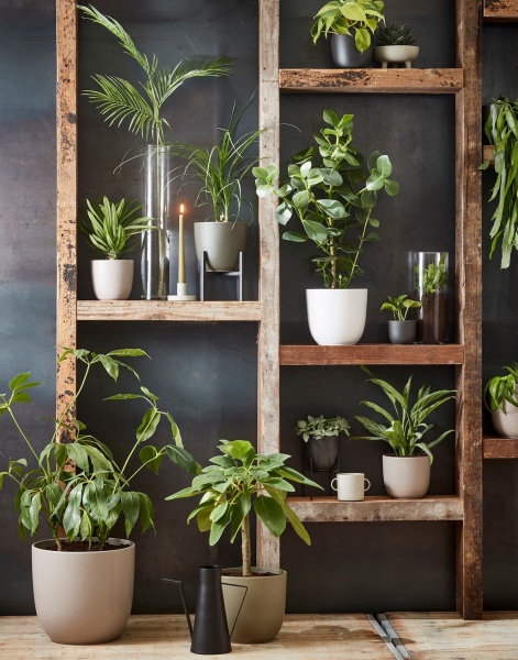 Вазон керамічний Edelman Tusca 28 см круглий 11,9 л темно-коричневий (144300) 