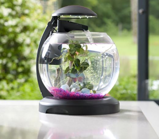 Аквариум Tetra для петушка и золотой рыбки Tetra Cascade Globe 6,8 л, 211827