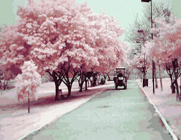 Картина за номерами Прекрасний парк BookOpt 