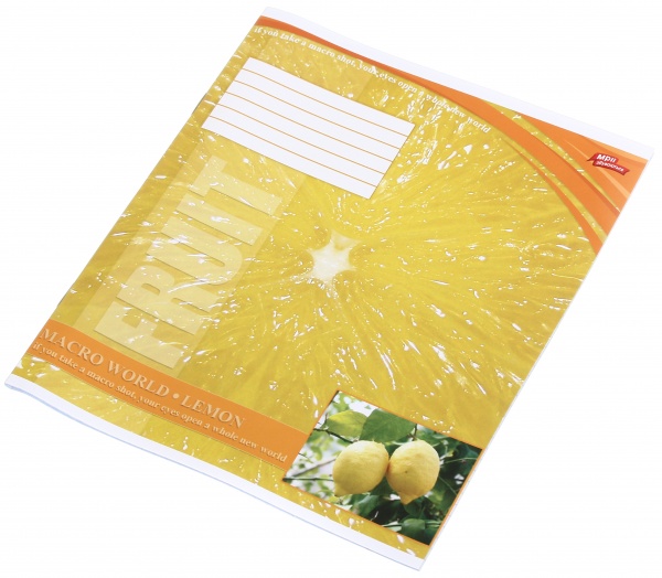 Тетрадь школьная 18 листов в клеточку в ассортименте Мечты сбываются