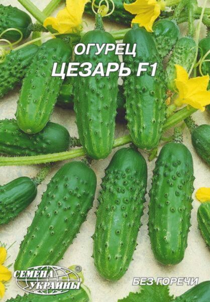 Насіння Семена Украины огірок гігант Цезарь F1 4г
