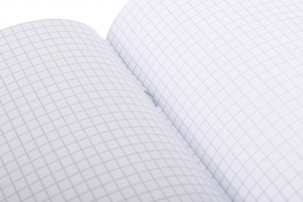 Тетрадь школьная Graffiti 24 листа клетка Nota Bene