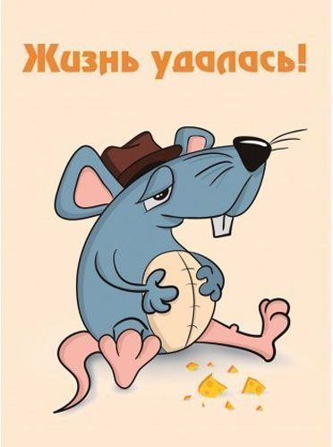 Постер Жизнь удалась