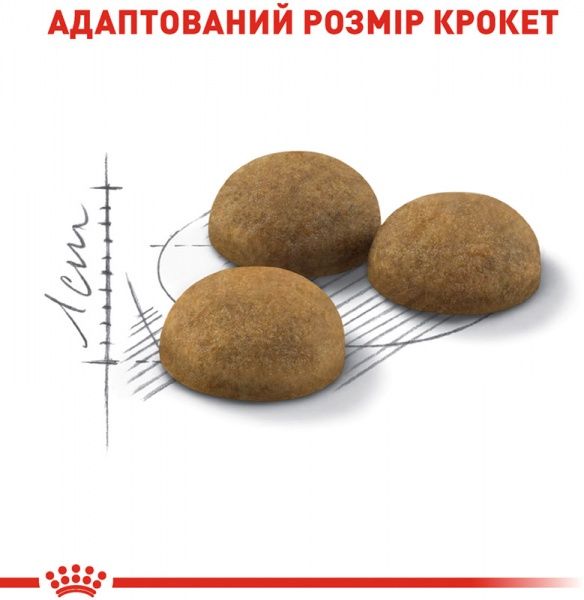 Корм Royal Canin Indoor Long Hair 400 г