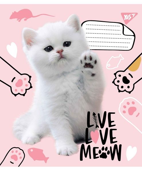 Зошит шкільний Live love meow А5/12 в лінію YES
