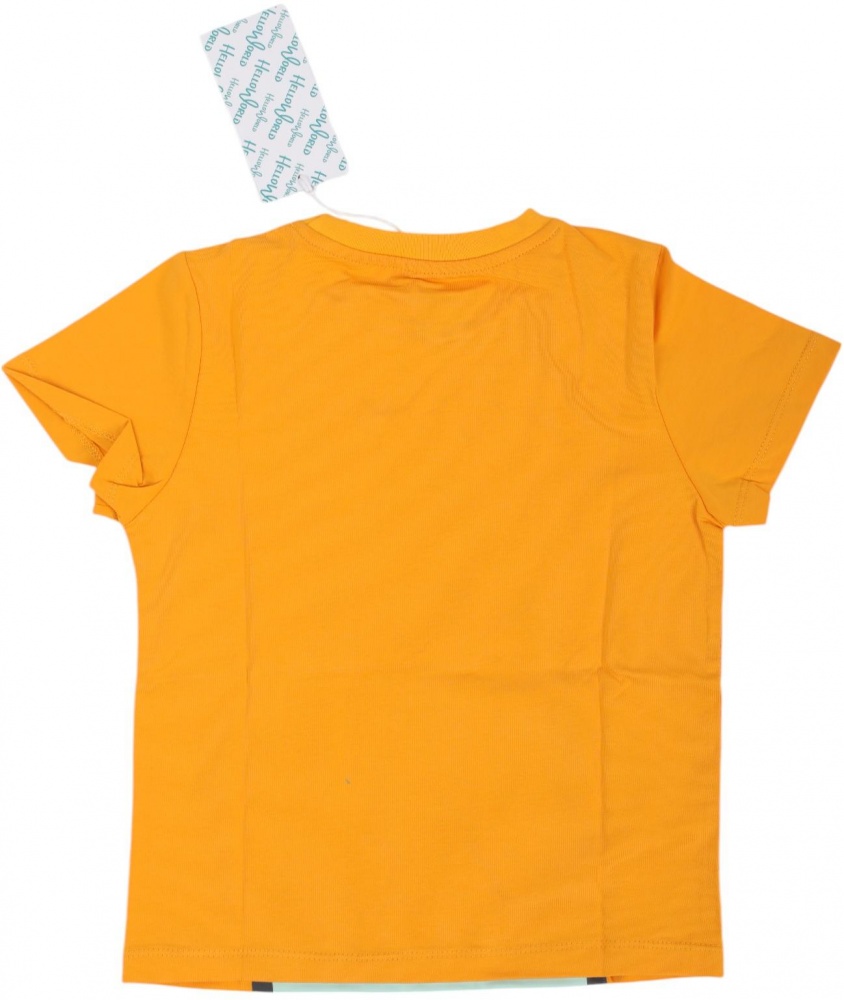 Футболка для мальчиков HW 2 шт. р.128/134 разноцветный 66051_55105