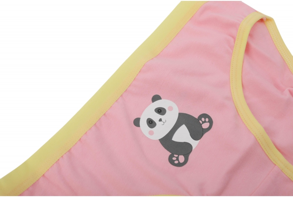 Набір трусів для дівчаток HW р.110-116 гірчичний/рожевий C2-D2