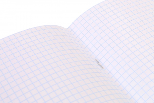 Тетрадь школьная Anime скоба 18 листов в клеточку Мечты сбываются