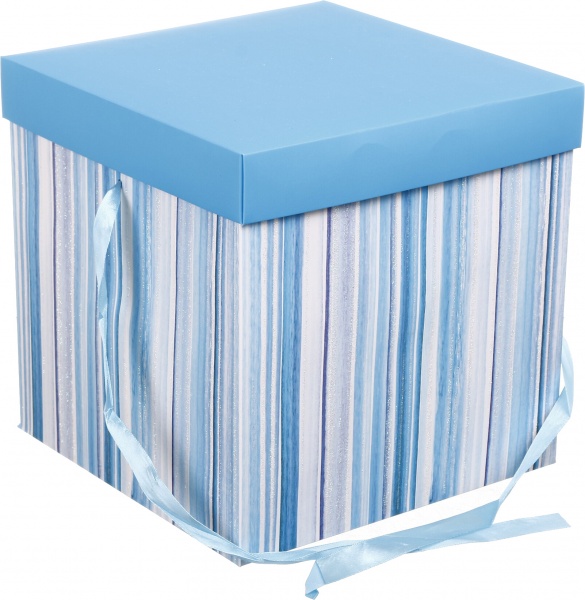 Коробка самозбірна EBXL9801 25х25 см