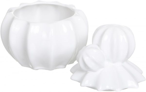 Сундучок Кактус WW 2704-15 белый Eterna