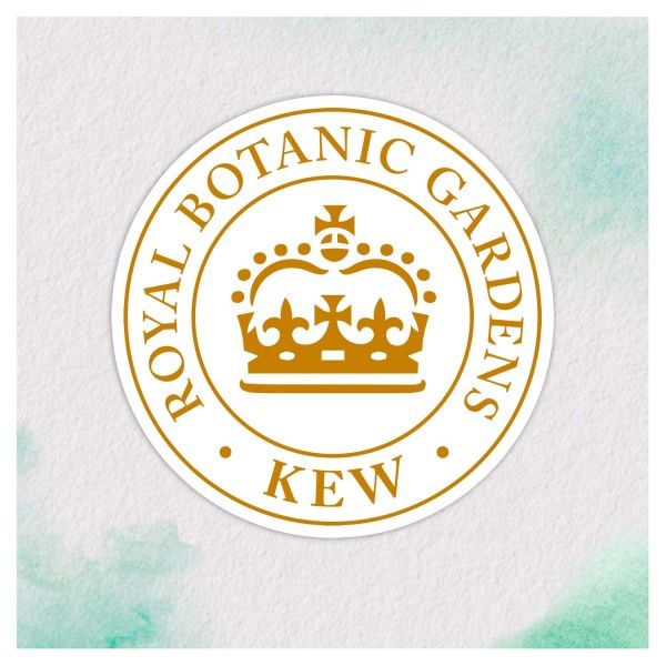 Бальзам-ополаскиватель Herbal Essences Марокканское аргановое масло 275 мл