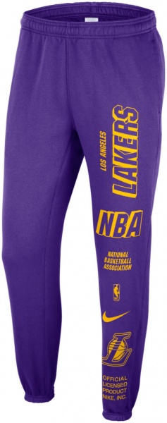 Брюки Nike LAL M NK FLC PANT CTS DN4711-504 р. XL фиолетовый