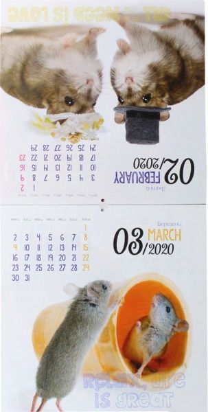 Календар «Світовид Рік миші. Удачу принесе!»