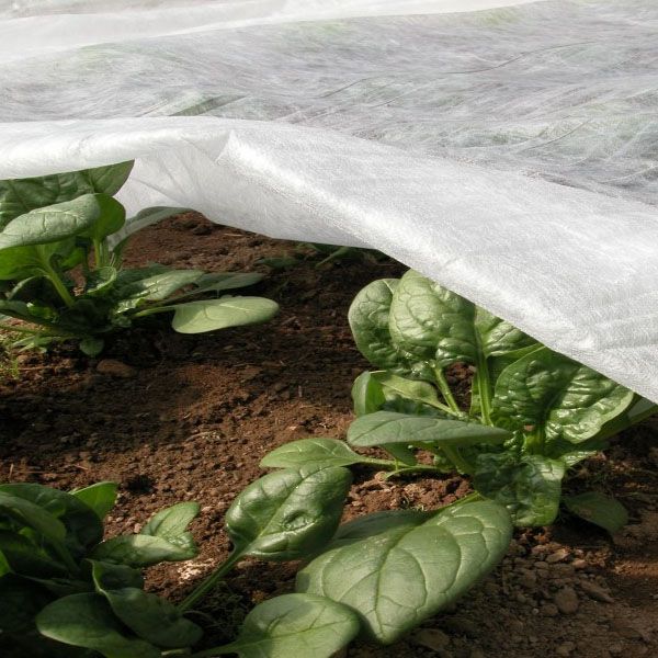 Агроволокно Texton 50 UV біле 3.2 м