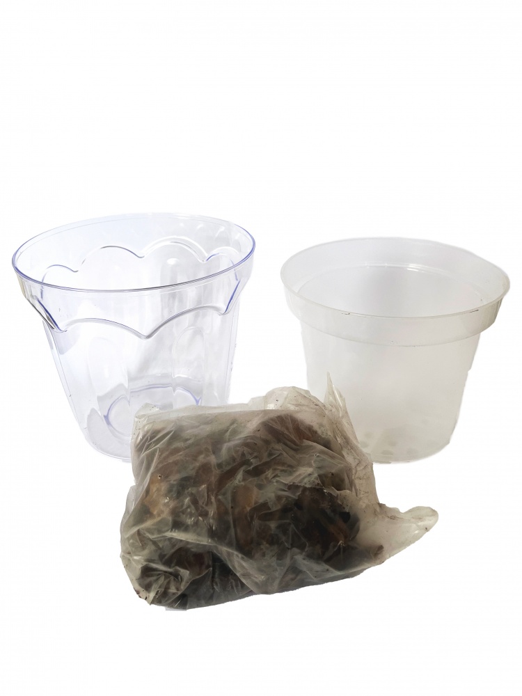 Кашпо для орхидей пластик КОЛИЗЕЙ с орхидейным субстратом D184 круглый прозрачный 0,5 л