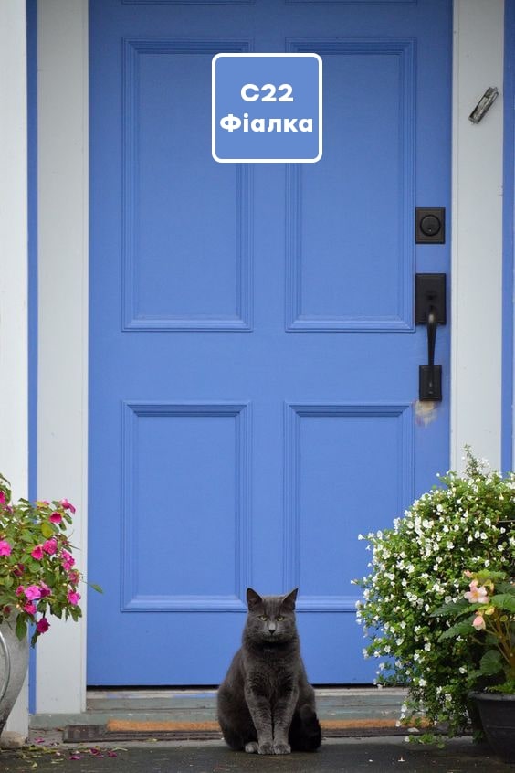 Краситель КОРАБЕЛЬНА золотисто-желтый 100 мл