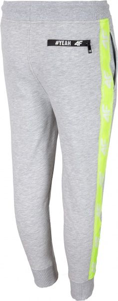 Штани 4F HJL20-JSPMD002-25M р. 128 сірий