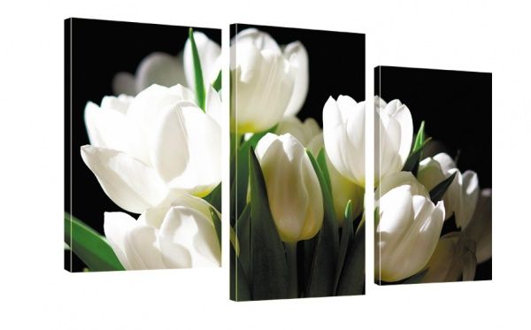 Картина модульная Цветы 247 акц. 100x53 см 