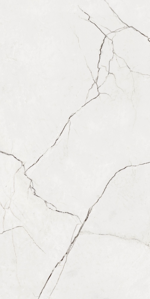 Плитка Allore Group Eleganza White F P R Full Lappato 60х120 см