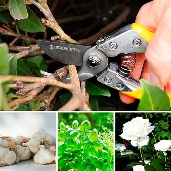 Секатор Gruntek Phoenix 200 мм d18 мм (295200018) 