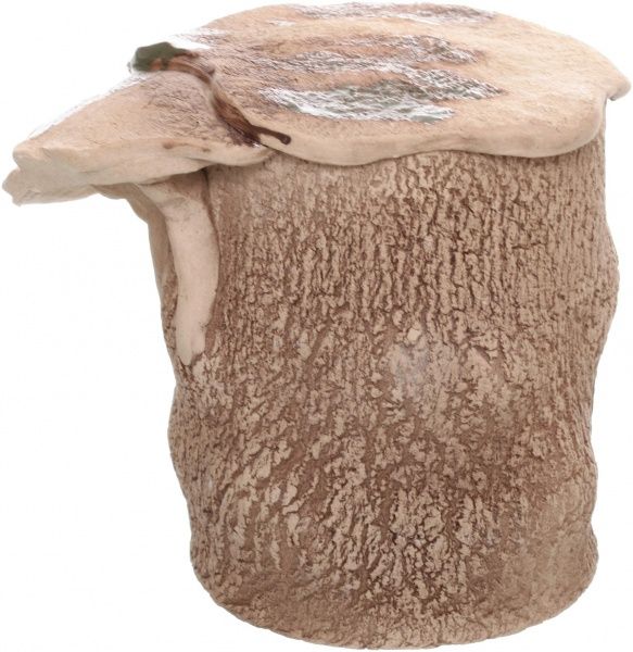 Декорація Природа Грот для черепах 29х15 см