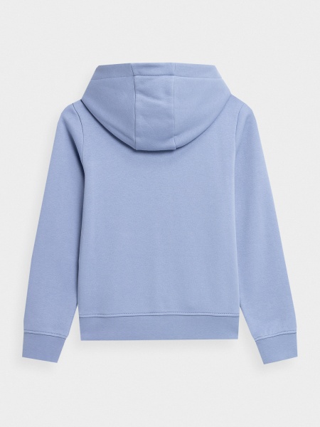 Джемпер 4F SWEATSHIRT F216 4FJSS23TSWSF216-32S р. 134 фиолетовый