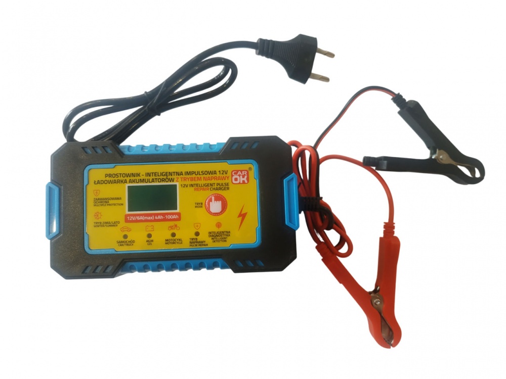 Автомобильное зарядное устройство 6 А 100 А/год (005PRO7909)