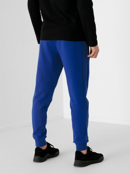 Штани 4F D4L21-SPMD205-31S р. 2XL темно-синій