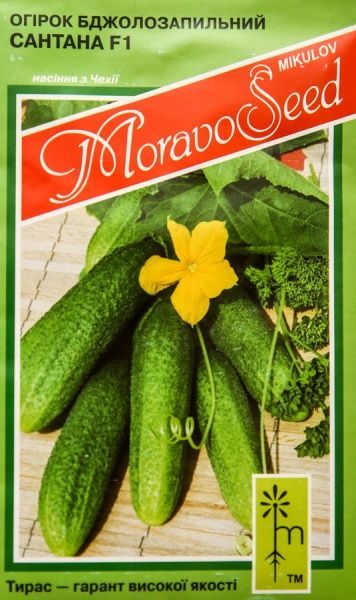Насіння MoravoSeeds огірок Сантана 1,2г