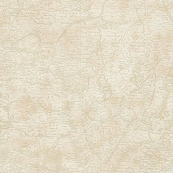 As Creation Dekora Natur 6 95896-2 0.53x10.05 м