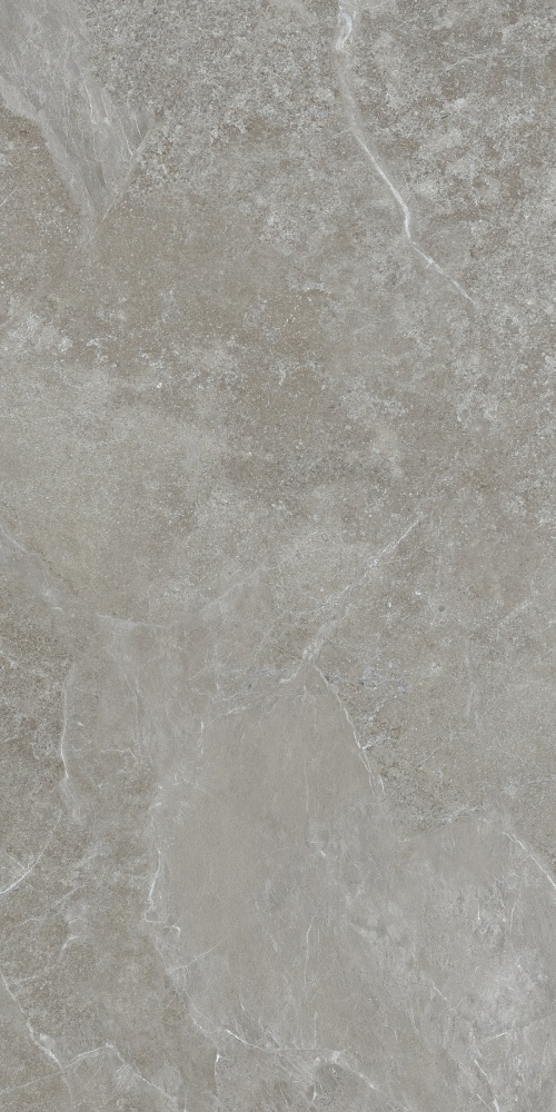 Плитка Allore Group Mariya Grey F P R Mat 60x120 см