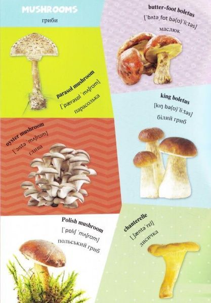 Книга «Продукты» 978-617-690-199-0