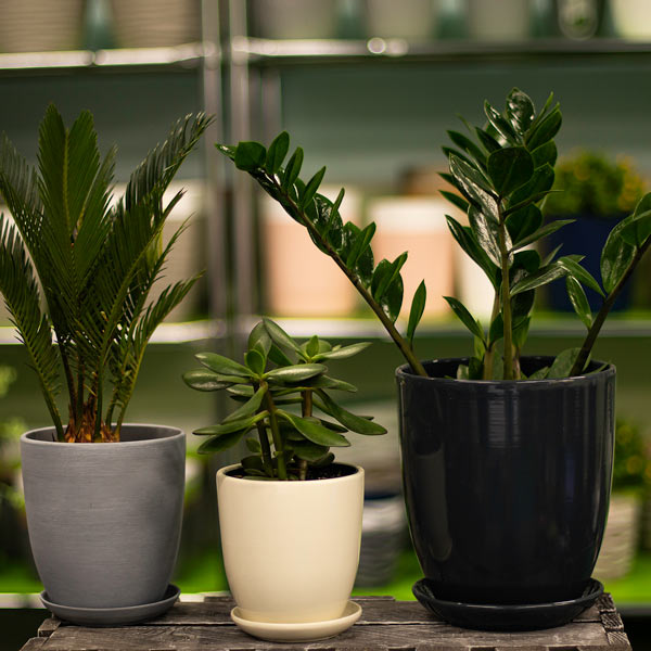 Горщик керамічний Santino Nova-3 круглий 4,4 л антрацит (DP-16-20-J-39-00) 