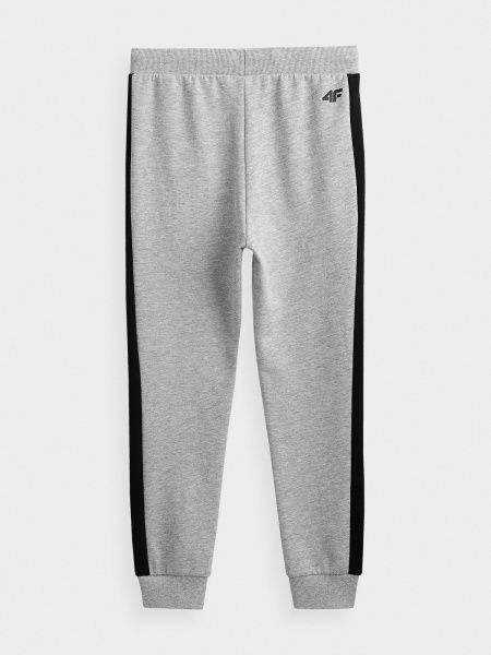 Брюки 4F J4Z20-JSPMD202-25M р. 164 серый