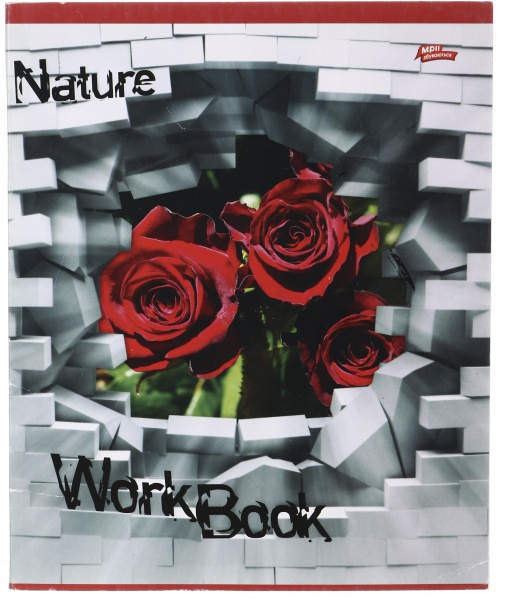 Тетрадь школьная уф-лак 60 листовв клетку в ассортименте