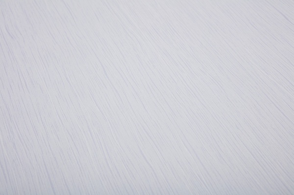 Шпалери вінілові на паперовій основі Bravo 85049BR26 0,53x10,05 м 