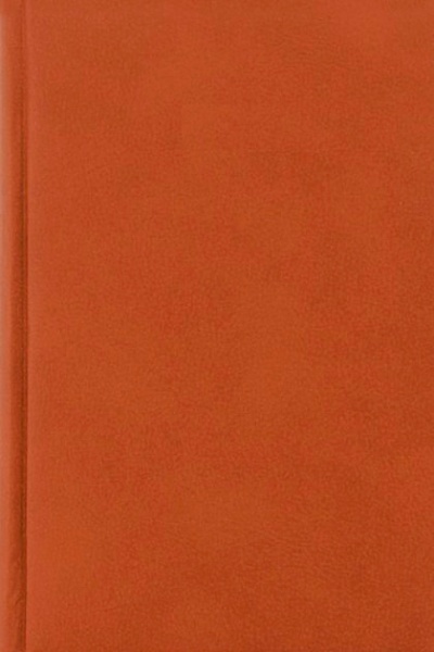 Щоденник недатований Megara коричневий Economix A5