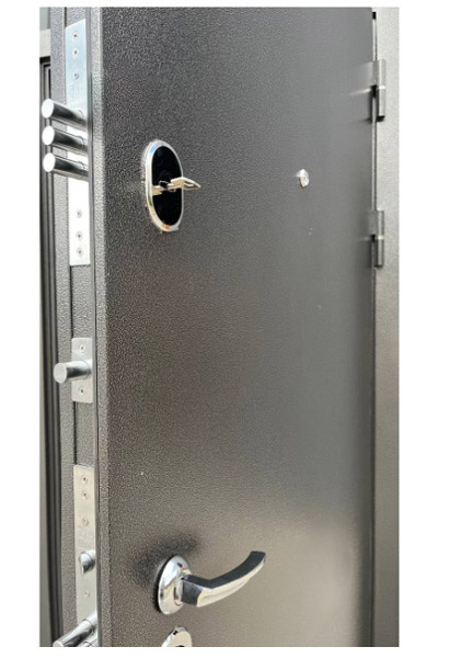 Дверь входная Tarimus Аляска серебро венге 2050x960 мм левая