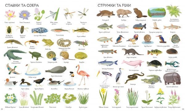 Книга «1000 назв природи» 9-786-177-579-631