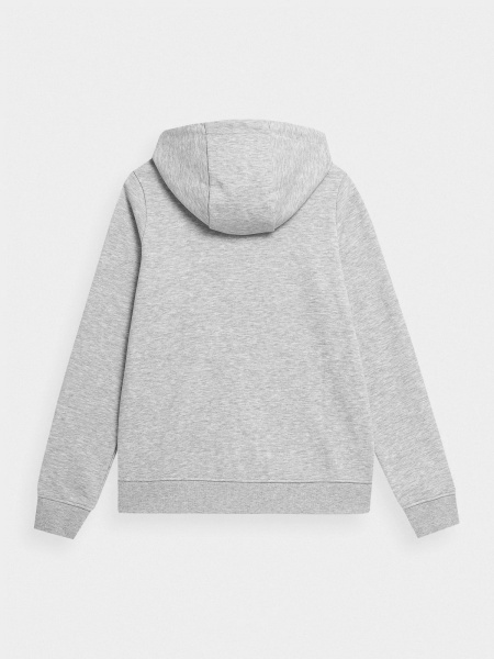 Джемпер 4F SWEATSHIRT F538 4FMM00TSWSF538-27M р.M серый