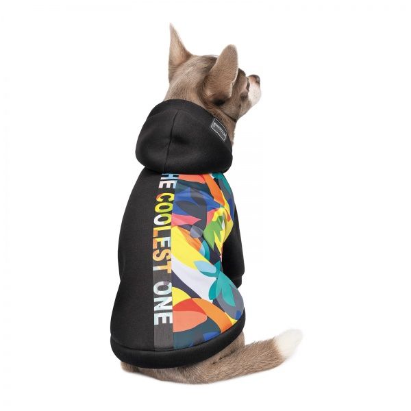 Толстовка с капюшоном Природа The Coolest M