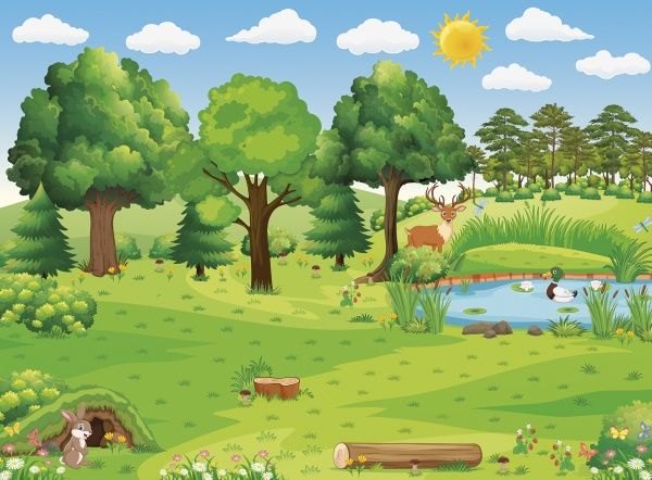 Книга Анастасія Фісіна «Лісова галявина. Багаторазові наліпки» 978-966-939-827-7